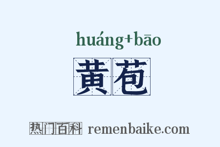 黄苞是什么意思的图片